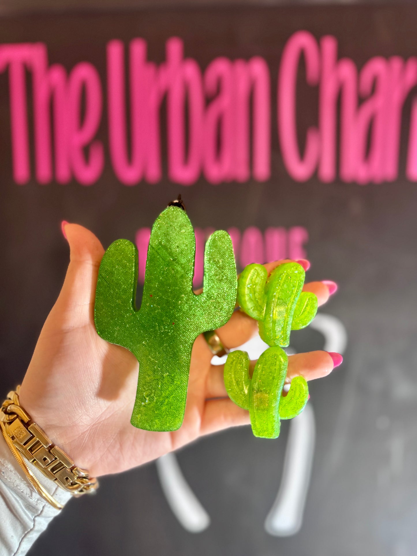 Cactus car freshie set